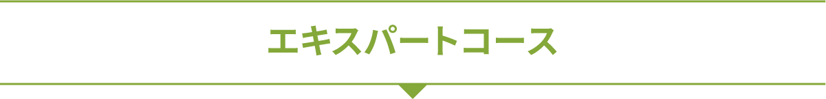 エキスパートコース