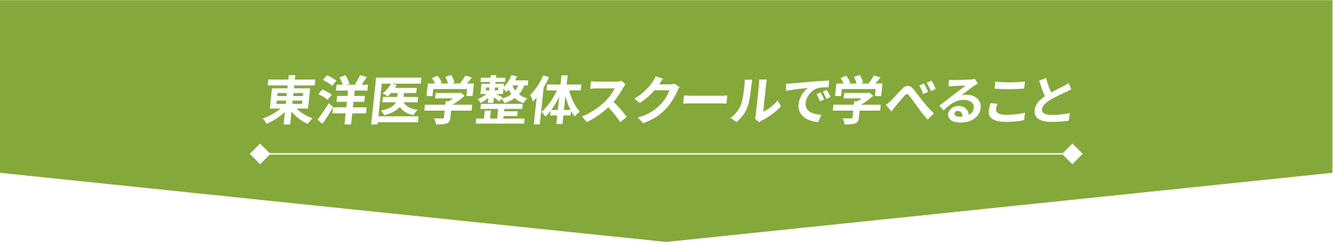 東洋医学整体スクールで学べること