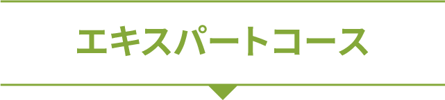 エキスパートコース