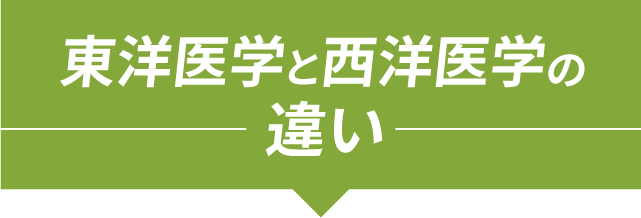 東洋医学と西洋医学の違い