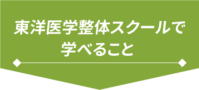東洋医学整体スクールで学べること